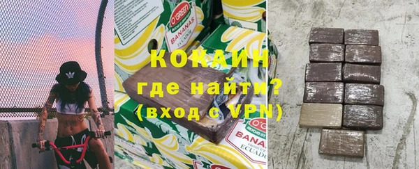 амф Гусь-Хрустальный