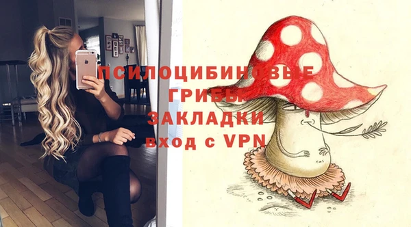 СК Билибино
